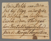 L 01335
<br/>
Label met opschrift
<br/>
<em>Escher von der Linth, Johannes Conrad (1767-1823)</em>